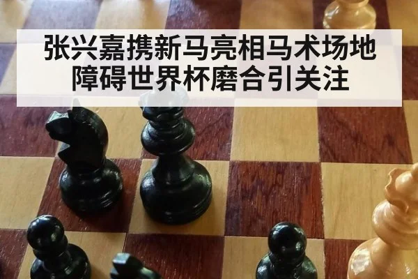 张兴嘉携新马亮相马术场地障碍世界杯磨合引关注