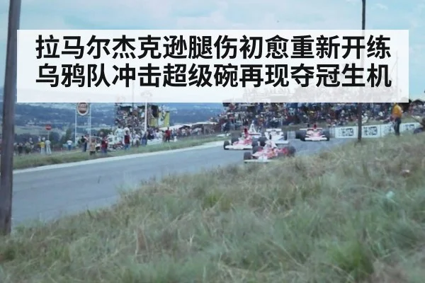 拉马尔杰克逊腿伤初愈重新开练 乌鸦队冲击超级碗再现夺冠生机